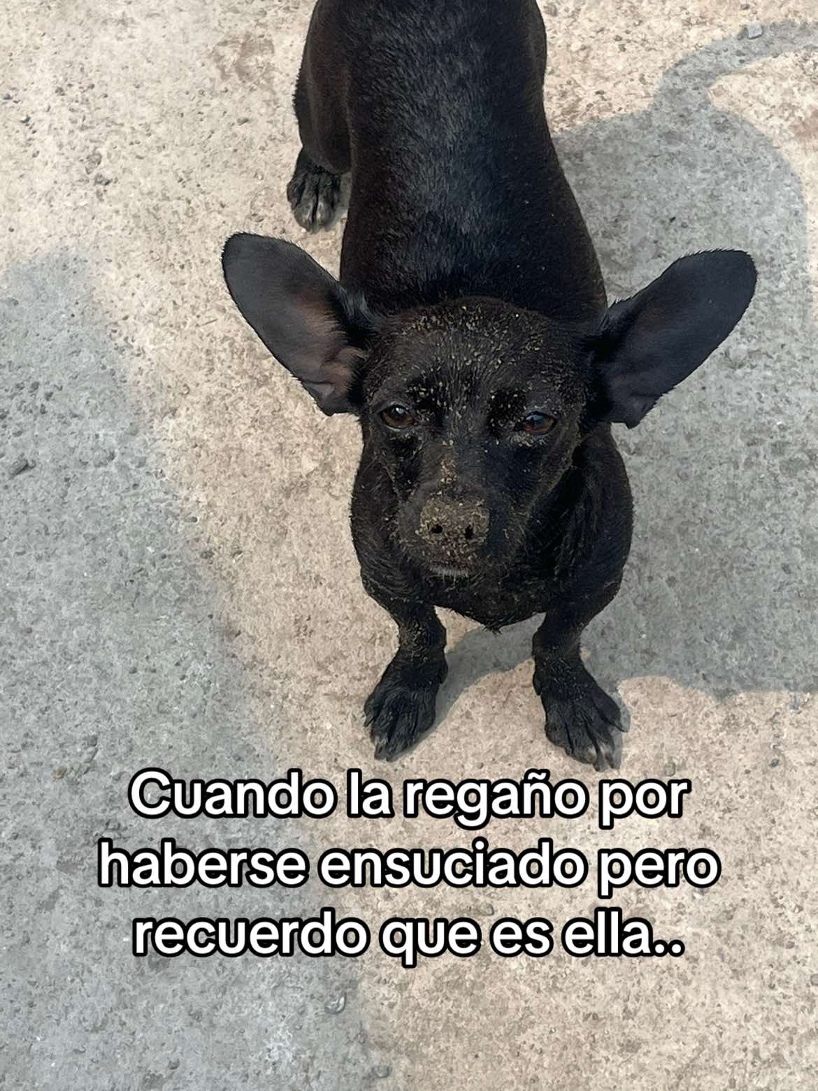 @Andrea Andrade