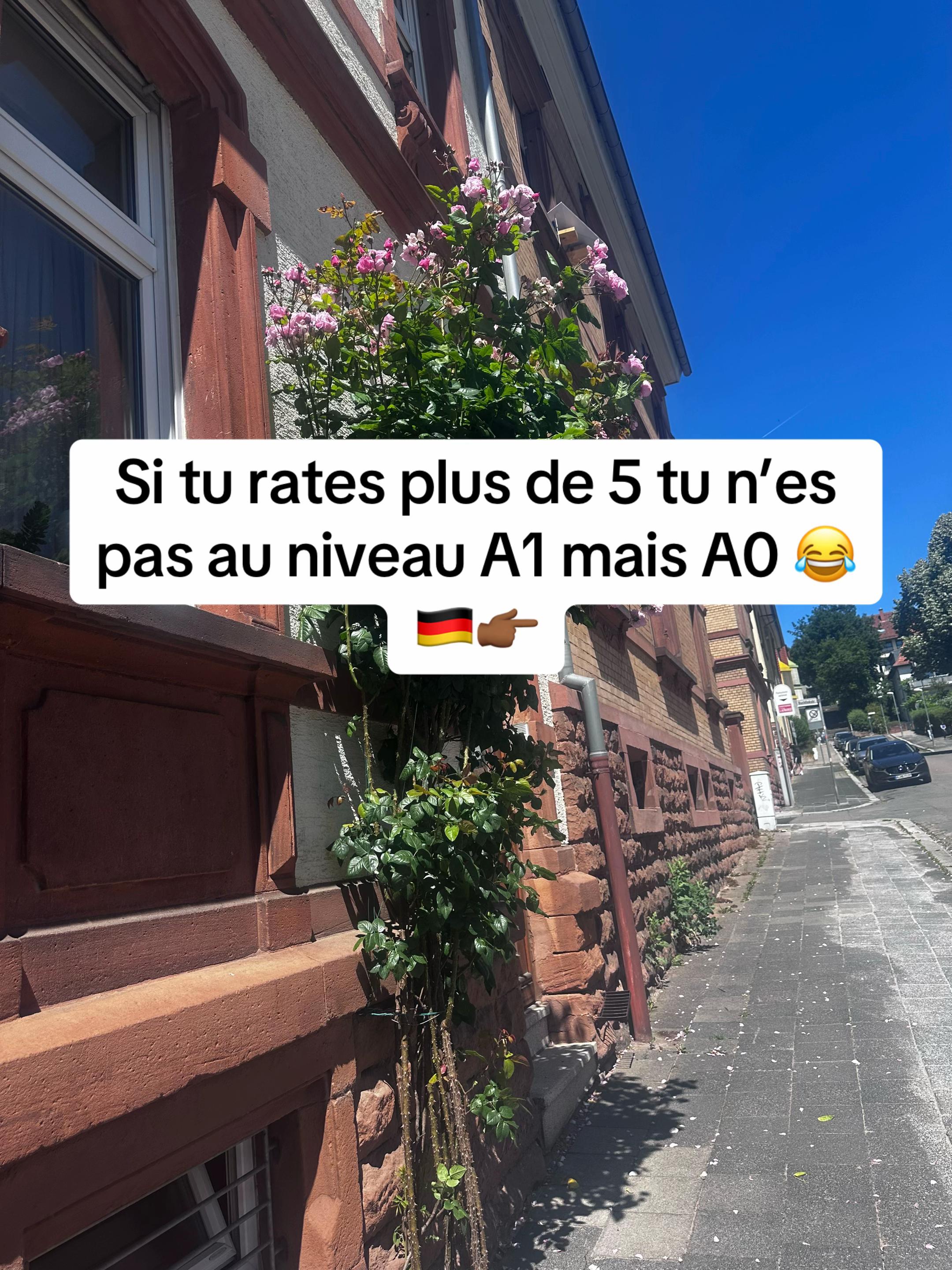 @parler_allemand
