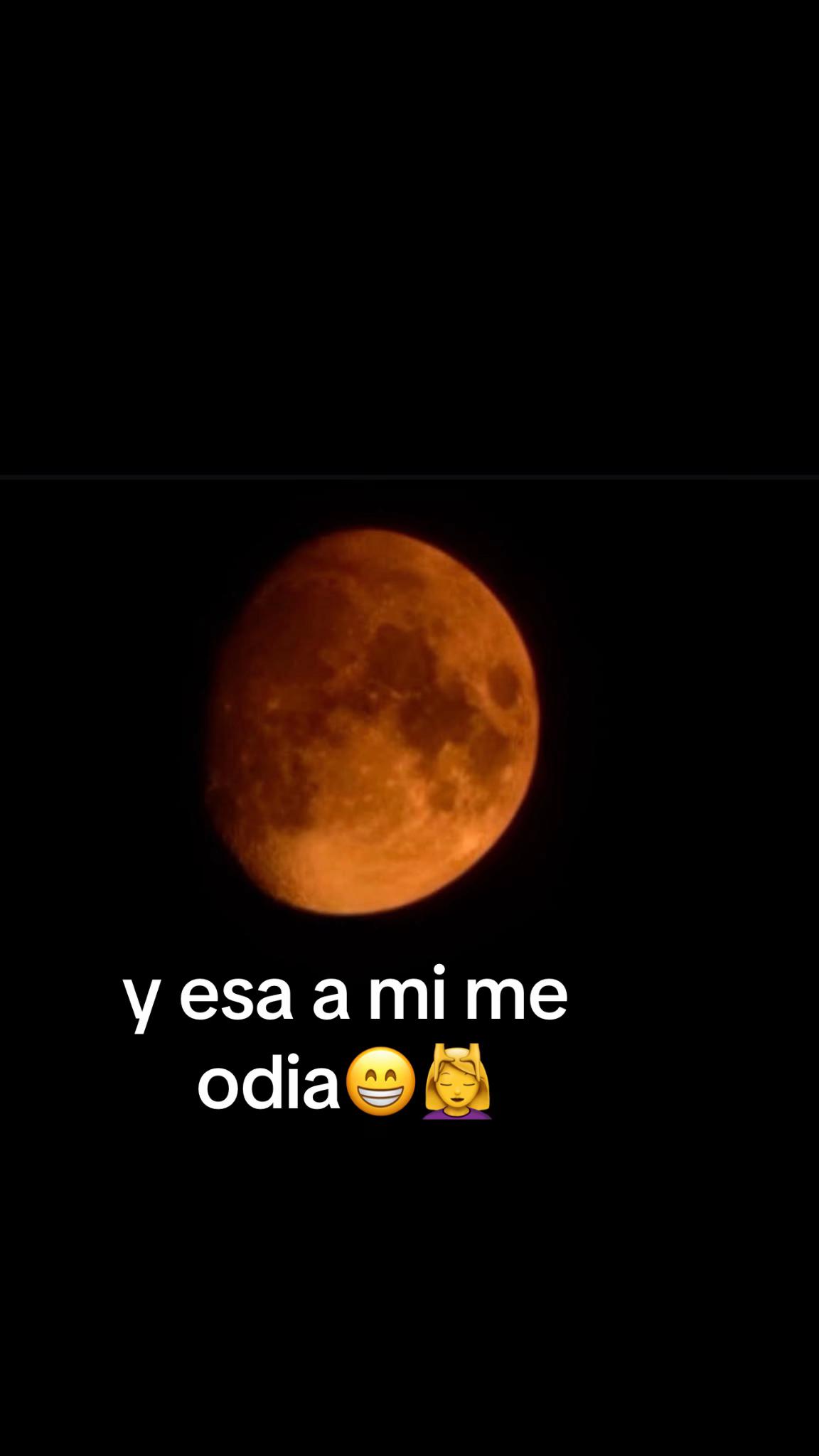 @norasxnchez_