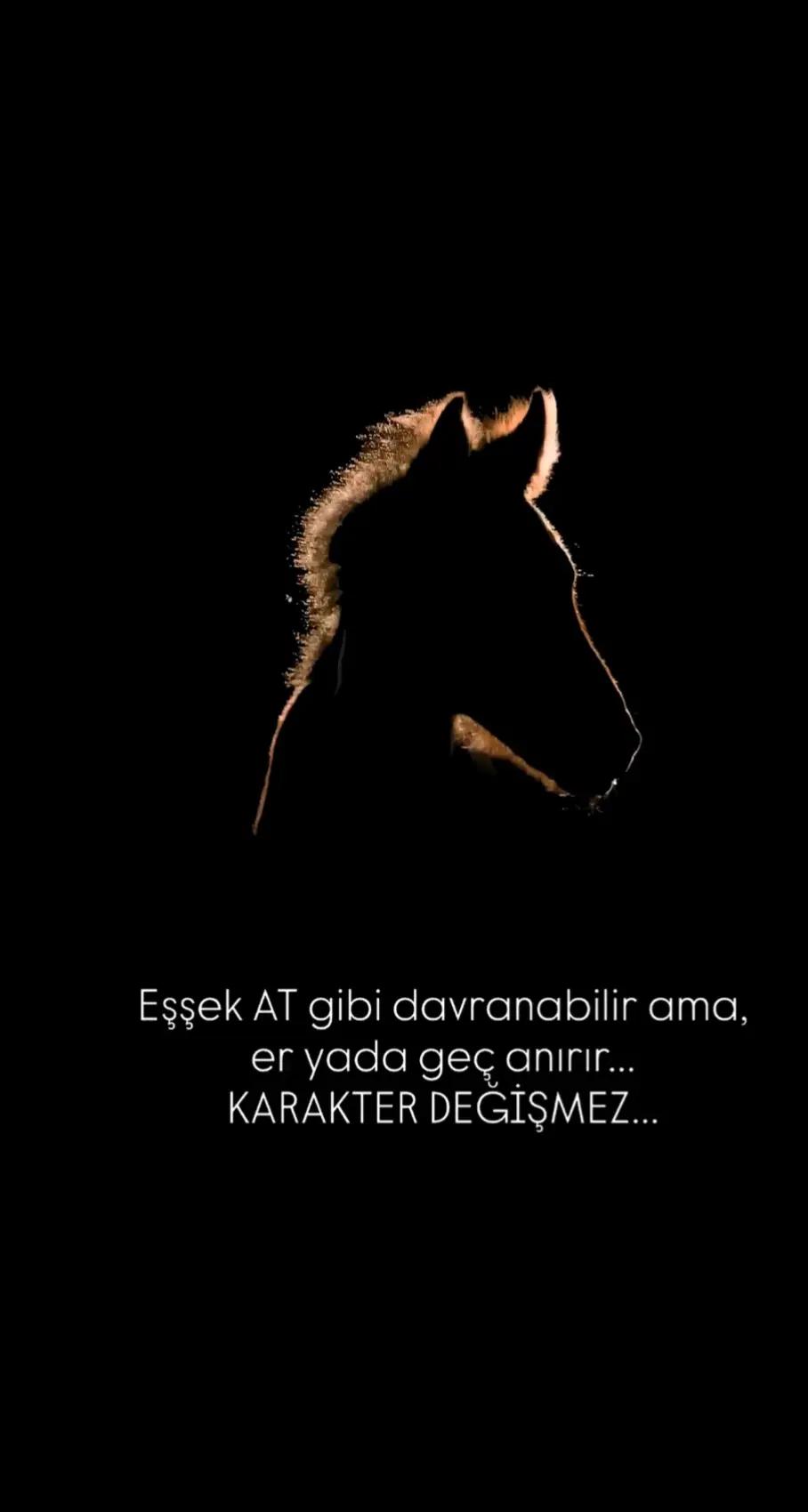 @SERDAR..!