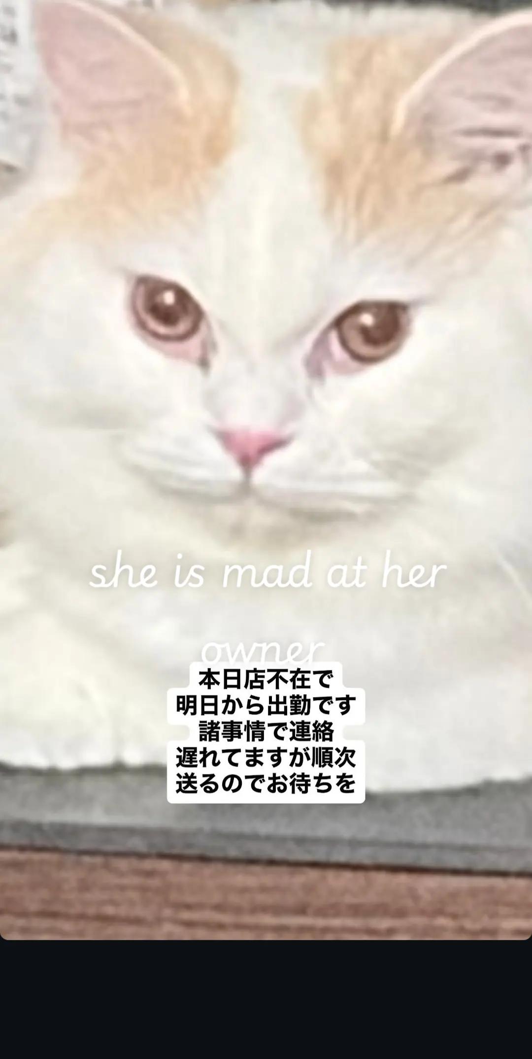 @NB asa enami haru wumuti 💅❤️