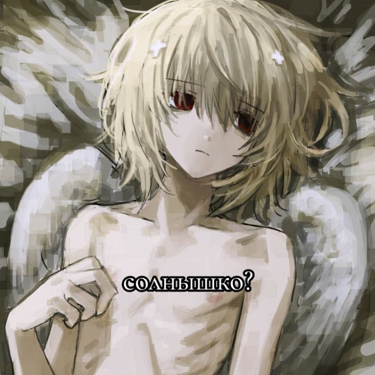 @гвоздь и аконини(≧▽≦)