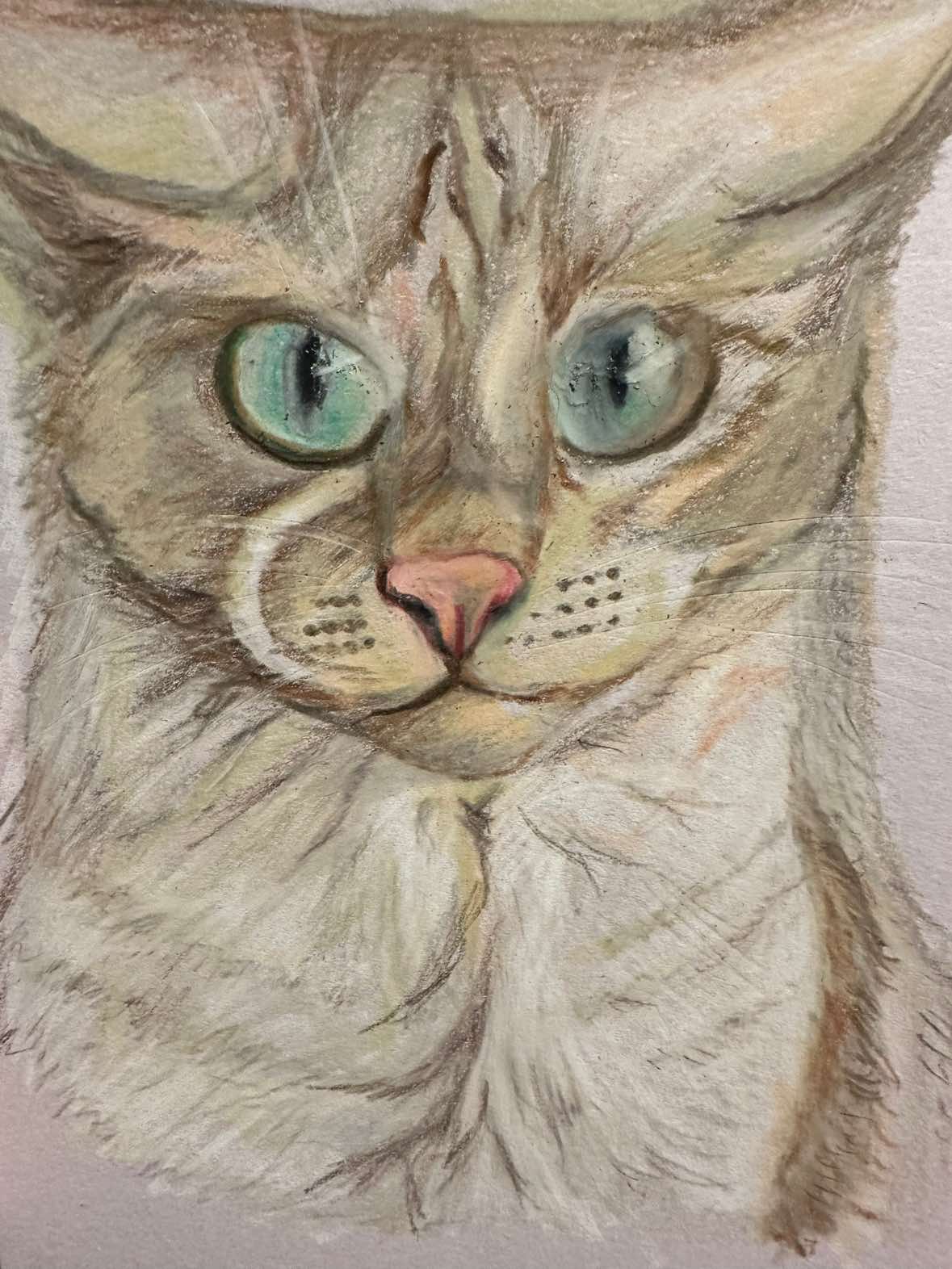 @Love Cat