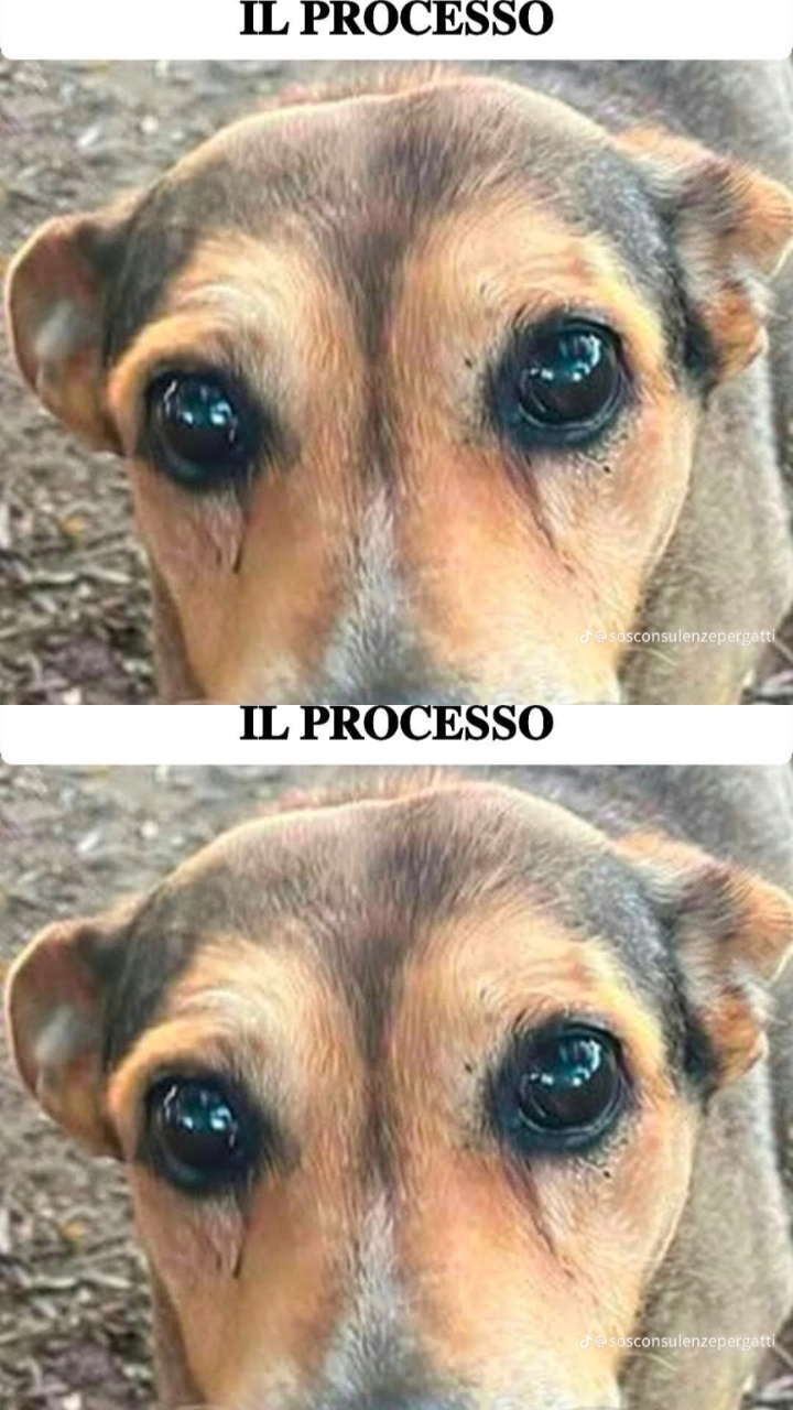 @cristina