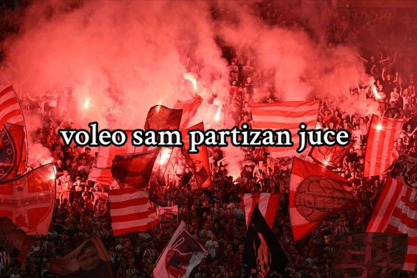 @❤️Делије Србија🤍