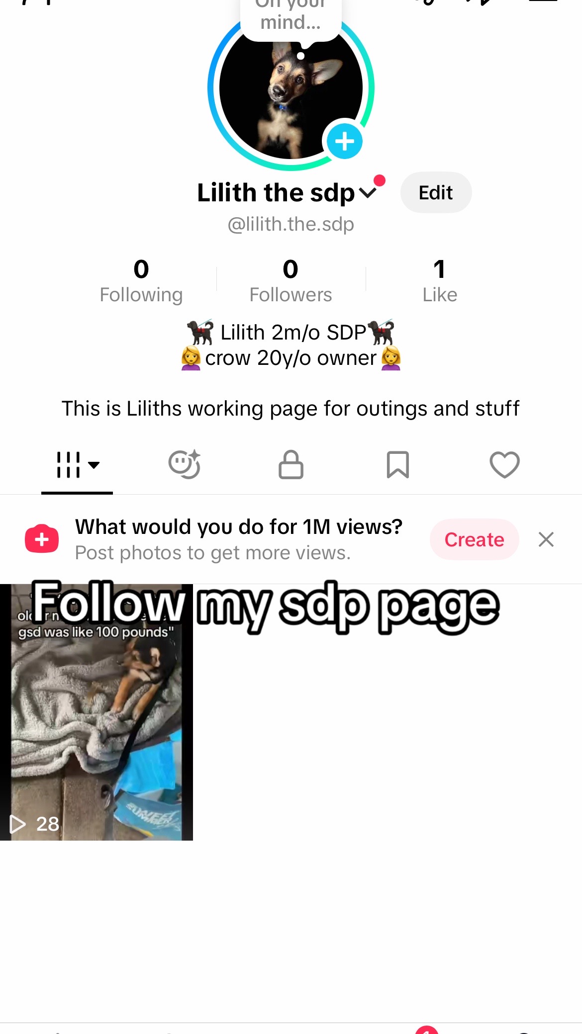 @♿️🦓Chronically_crow🦓♿️