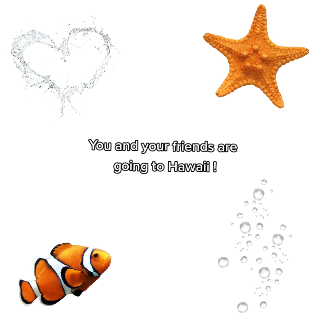 @꧁✰ ✰꧂