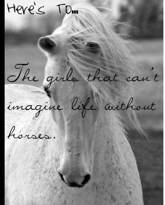 @Horselife