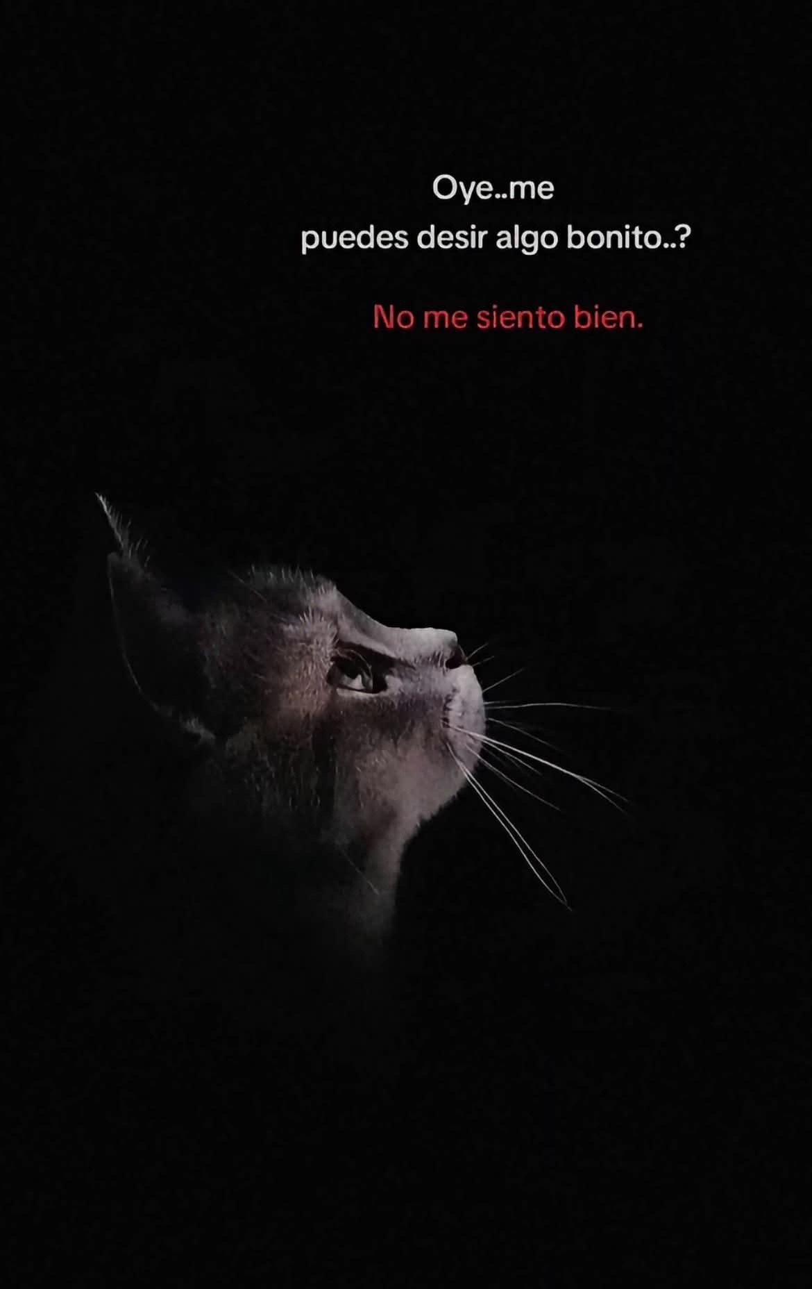 @Cangry Pdc