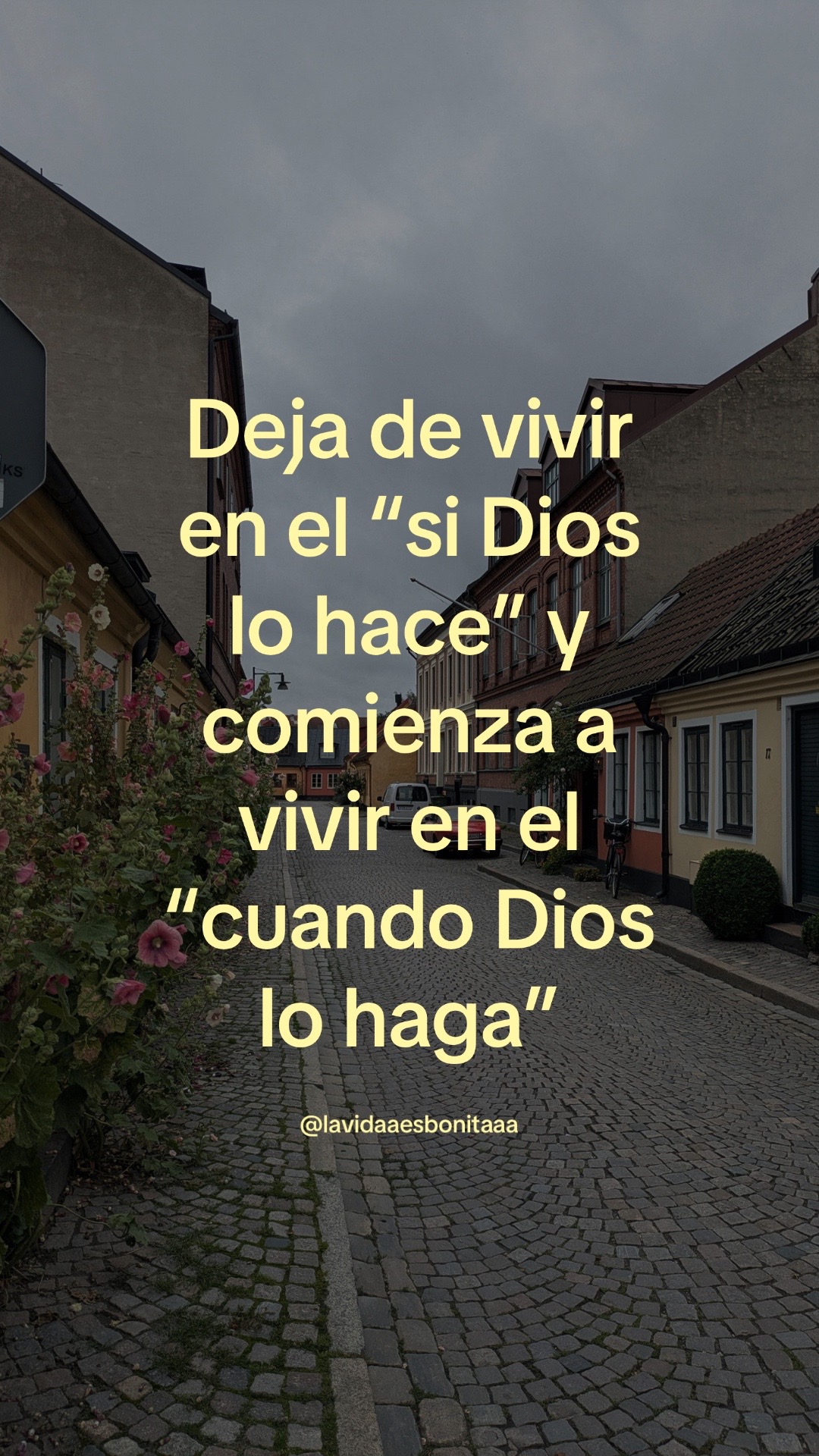@vidabonita❤️&zwj;🩹