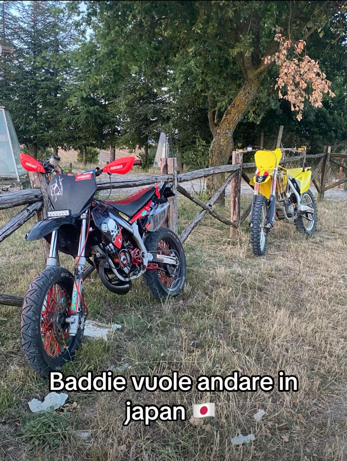 @lorenzdelledon