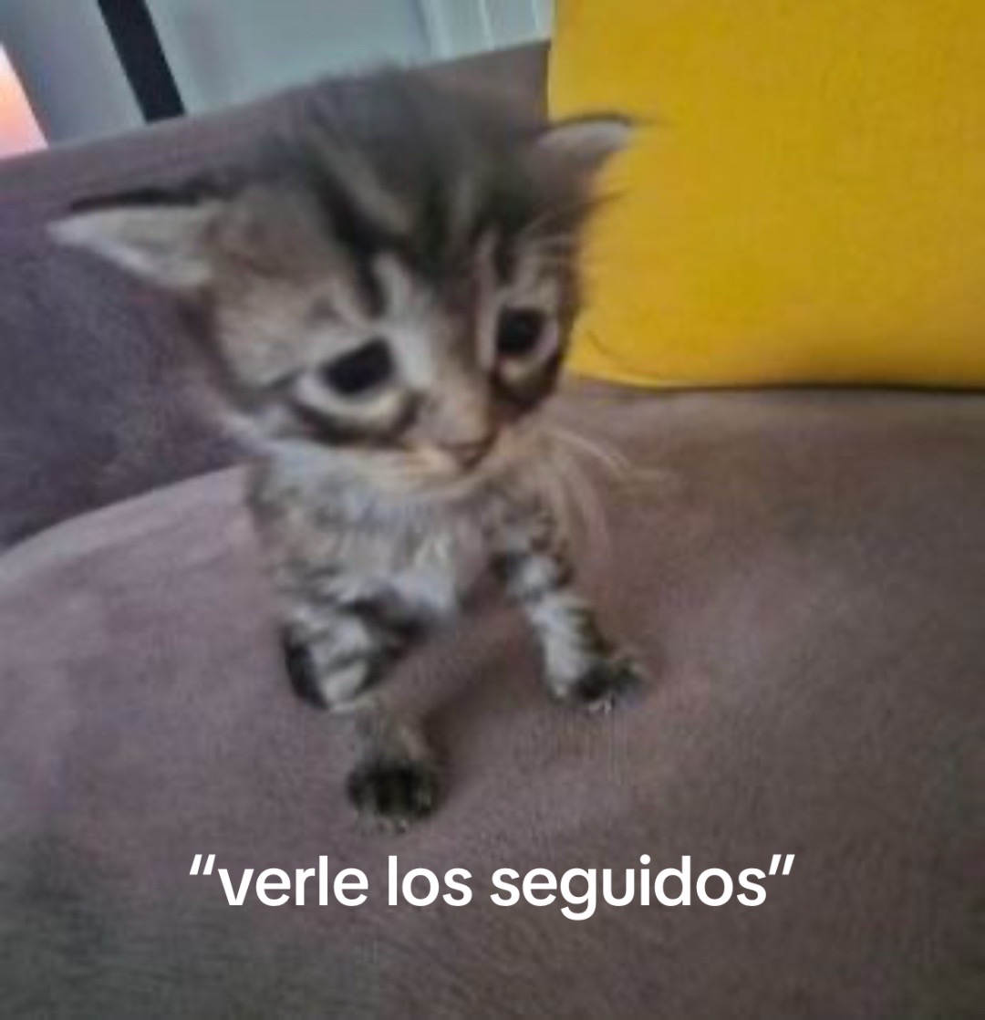 @Mich