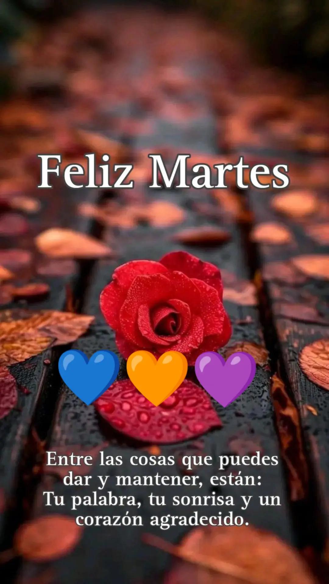 @Tus rolitas, poemas y m&aacute;s 𖣓