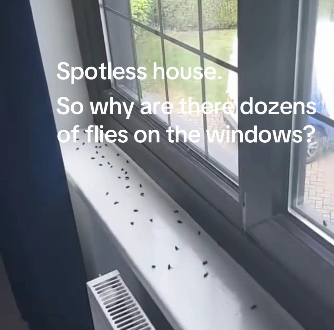 @Imperium Pest Control