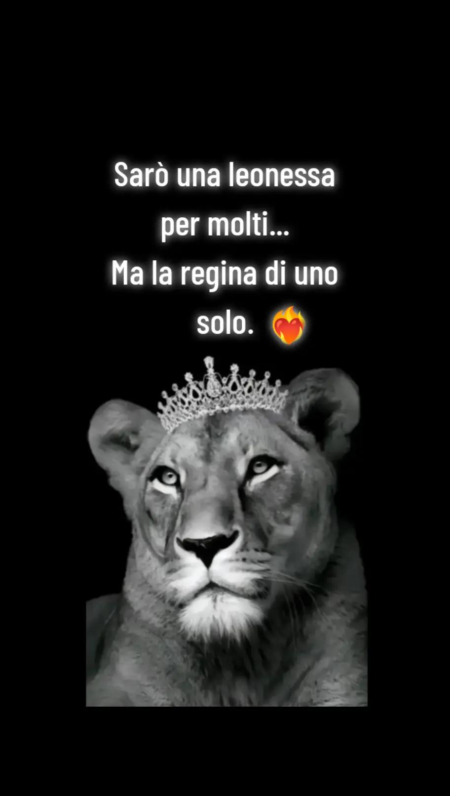 @🌪️😈uragano sonia🔥&bull;ti segue