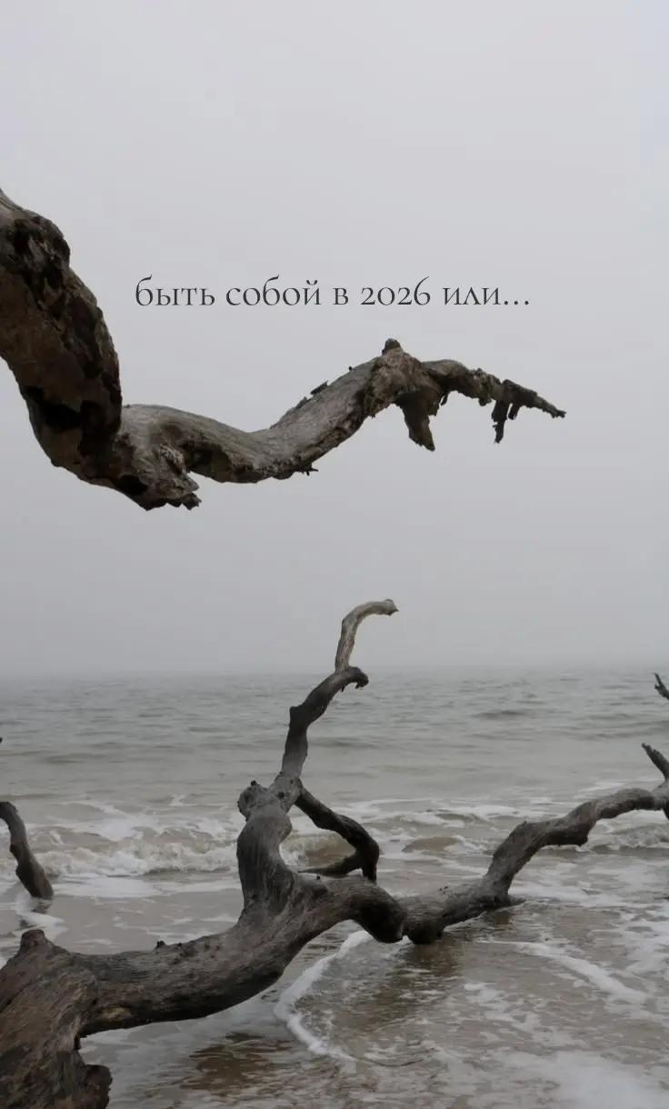 @ибупрофеновая дѣвица