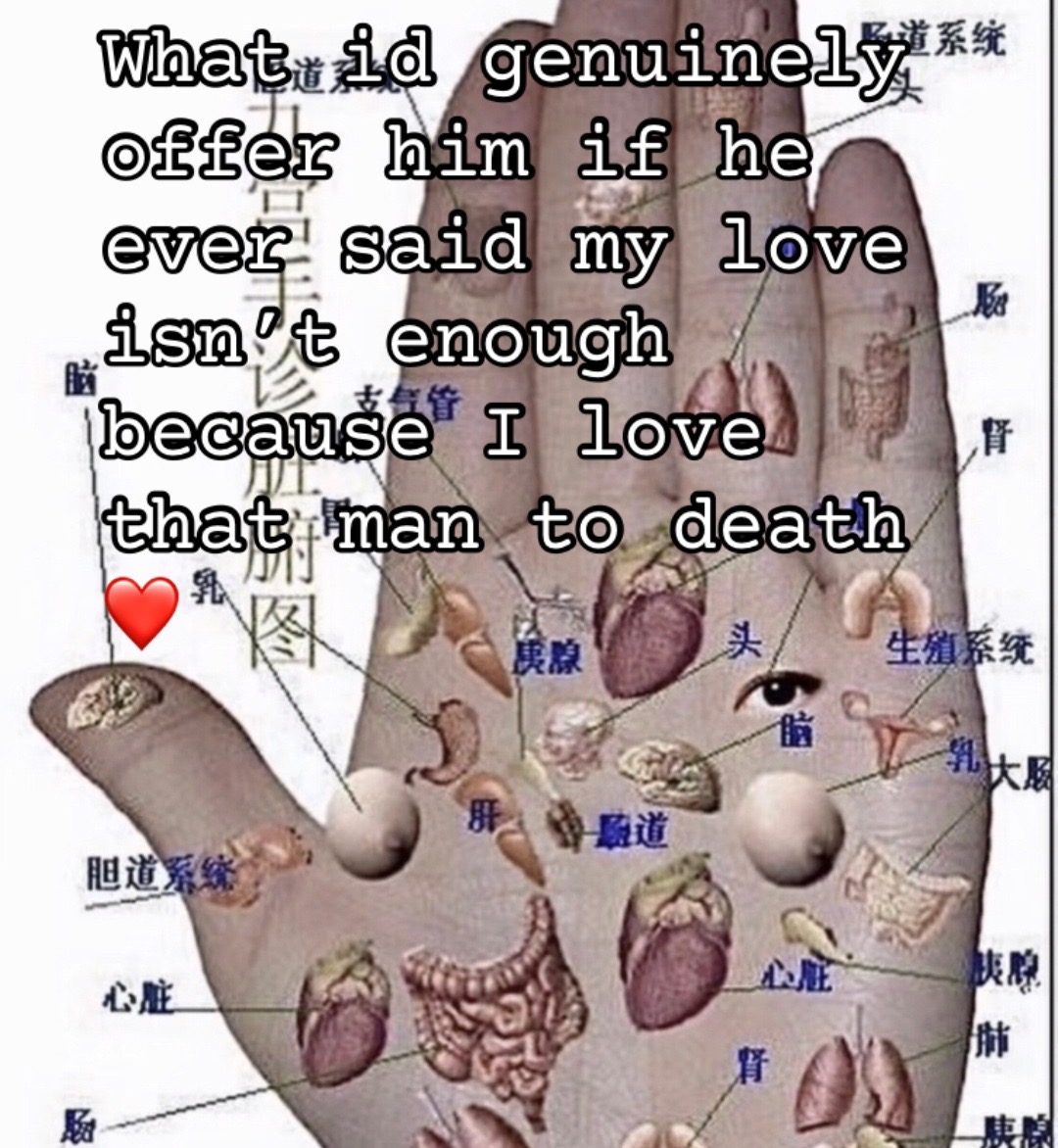 @Dream Bean