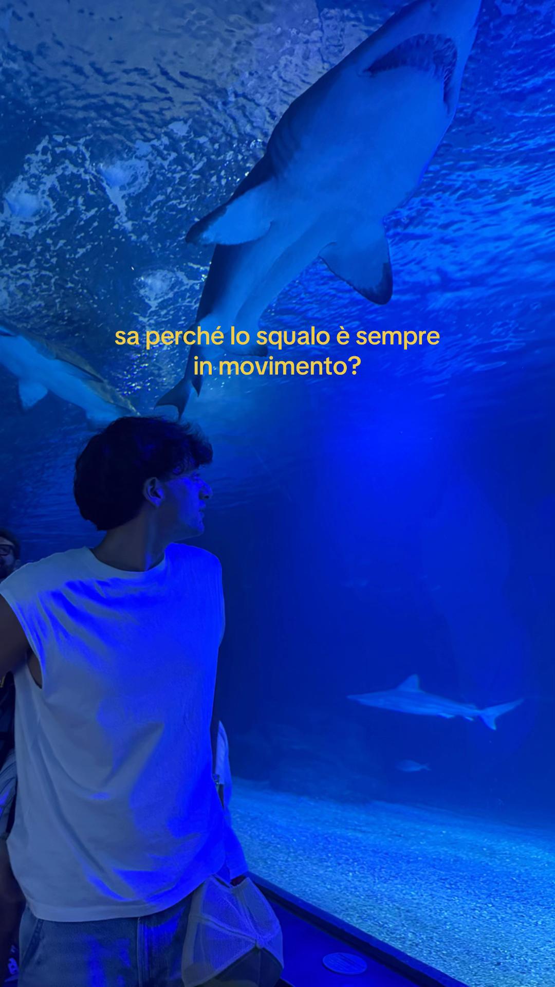 @holyale22