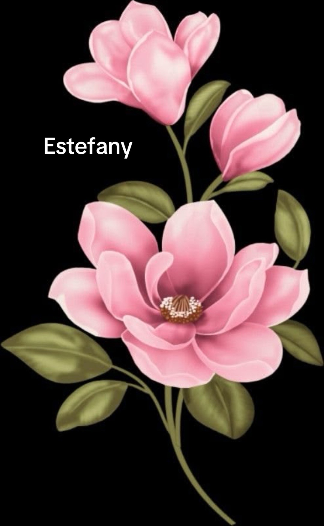 @estefany