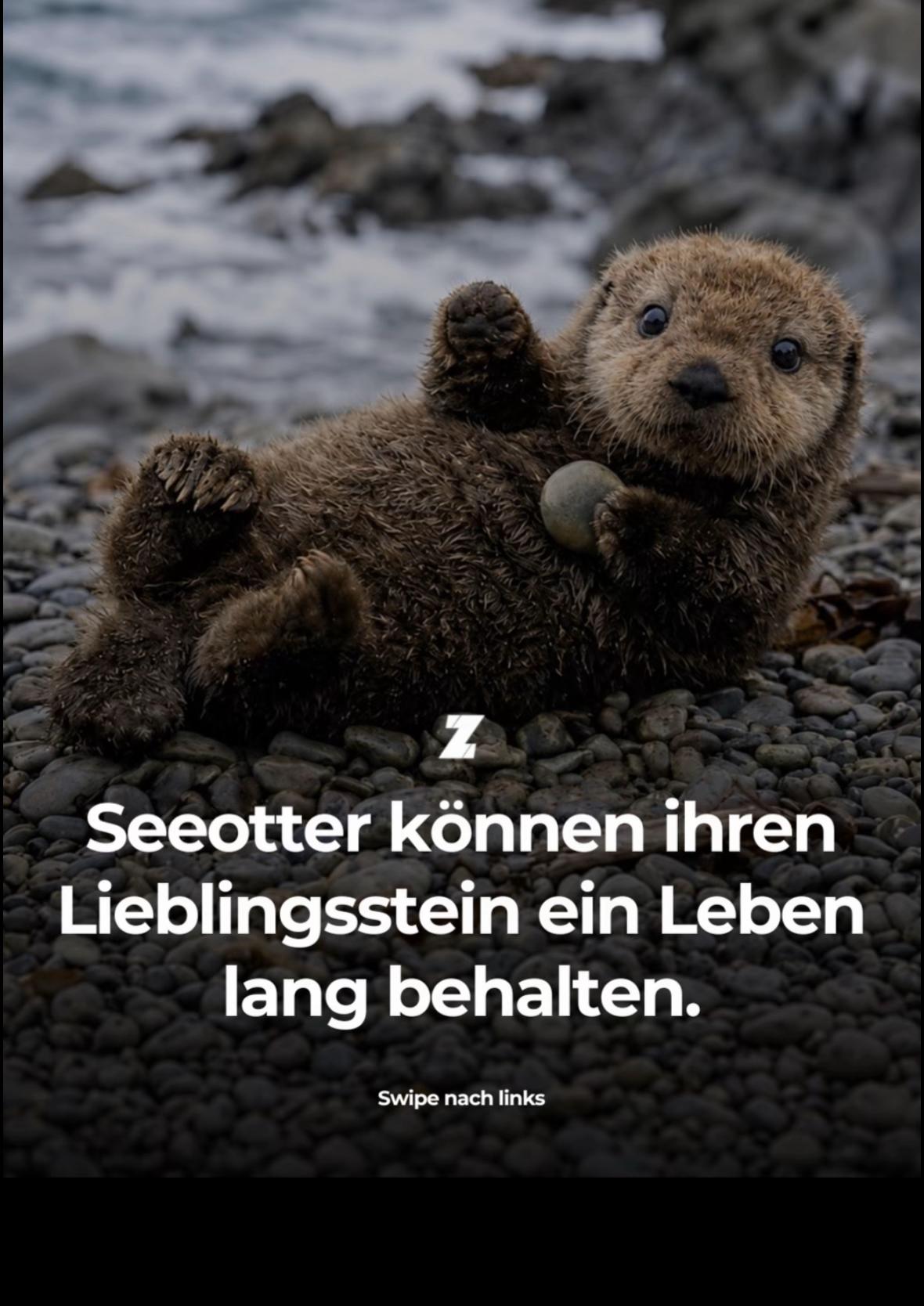 @๐๐ฌ๐ก๐ฅ๐๐ฒ