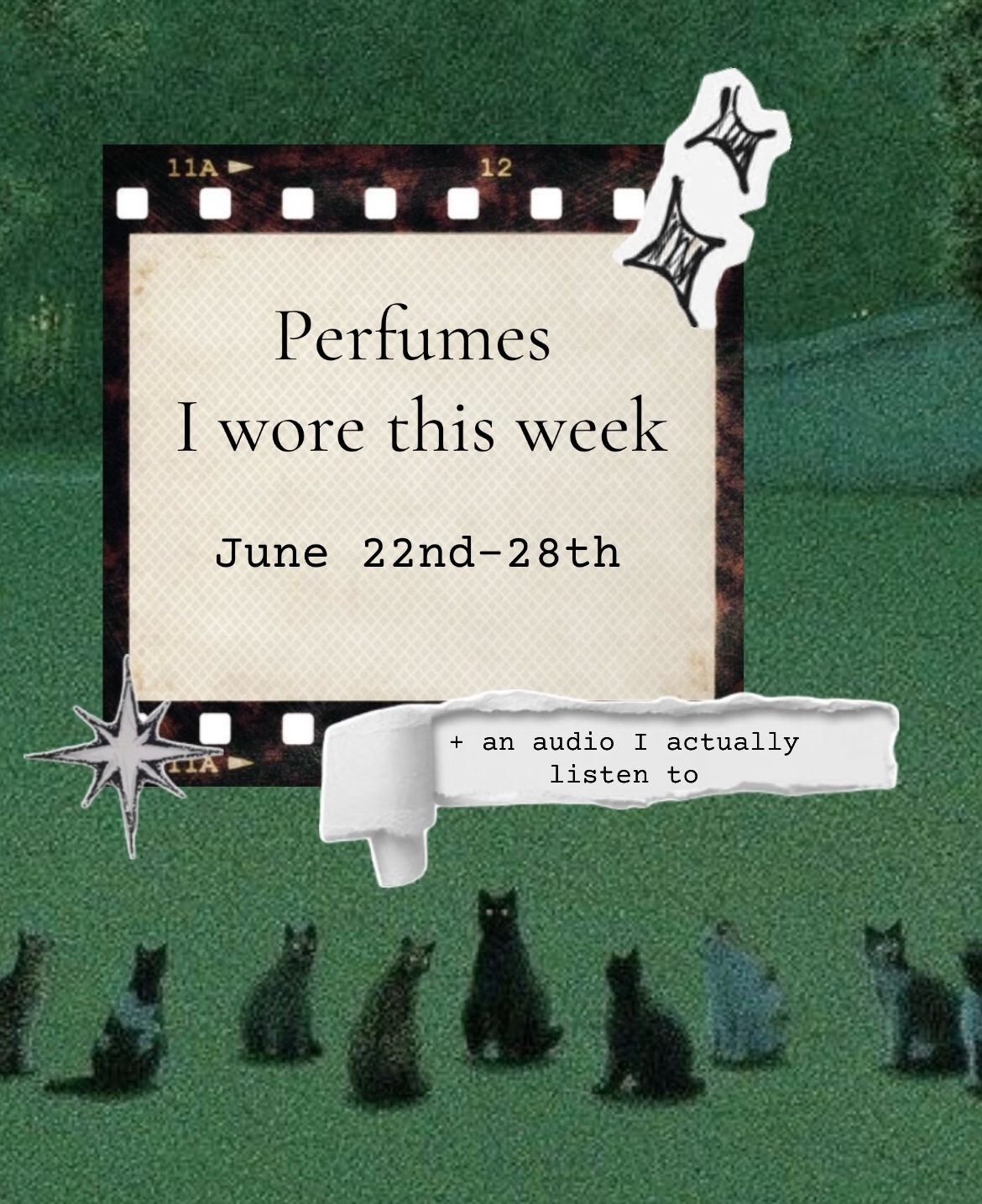 @Sophia | Cats & Fragrance 💕