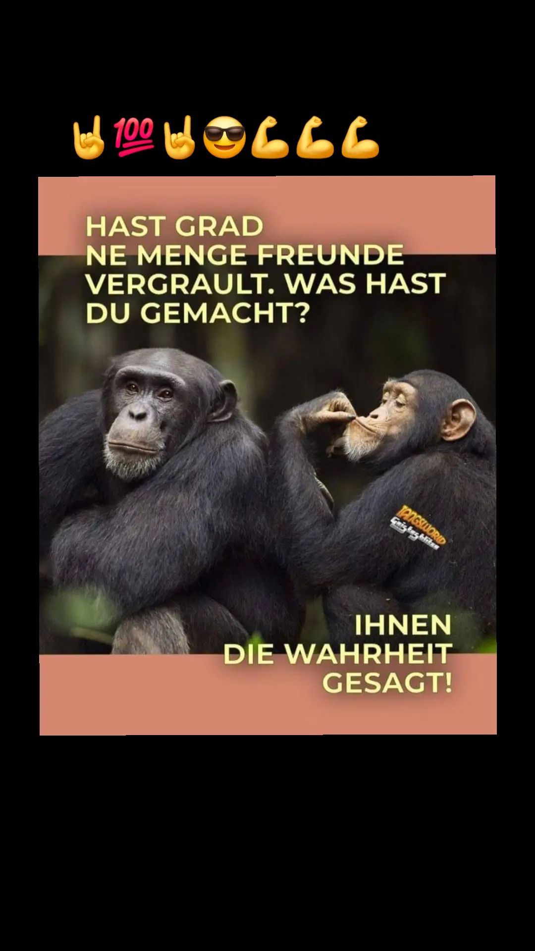 @Bär