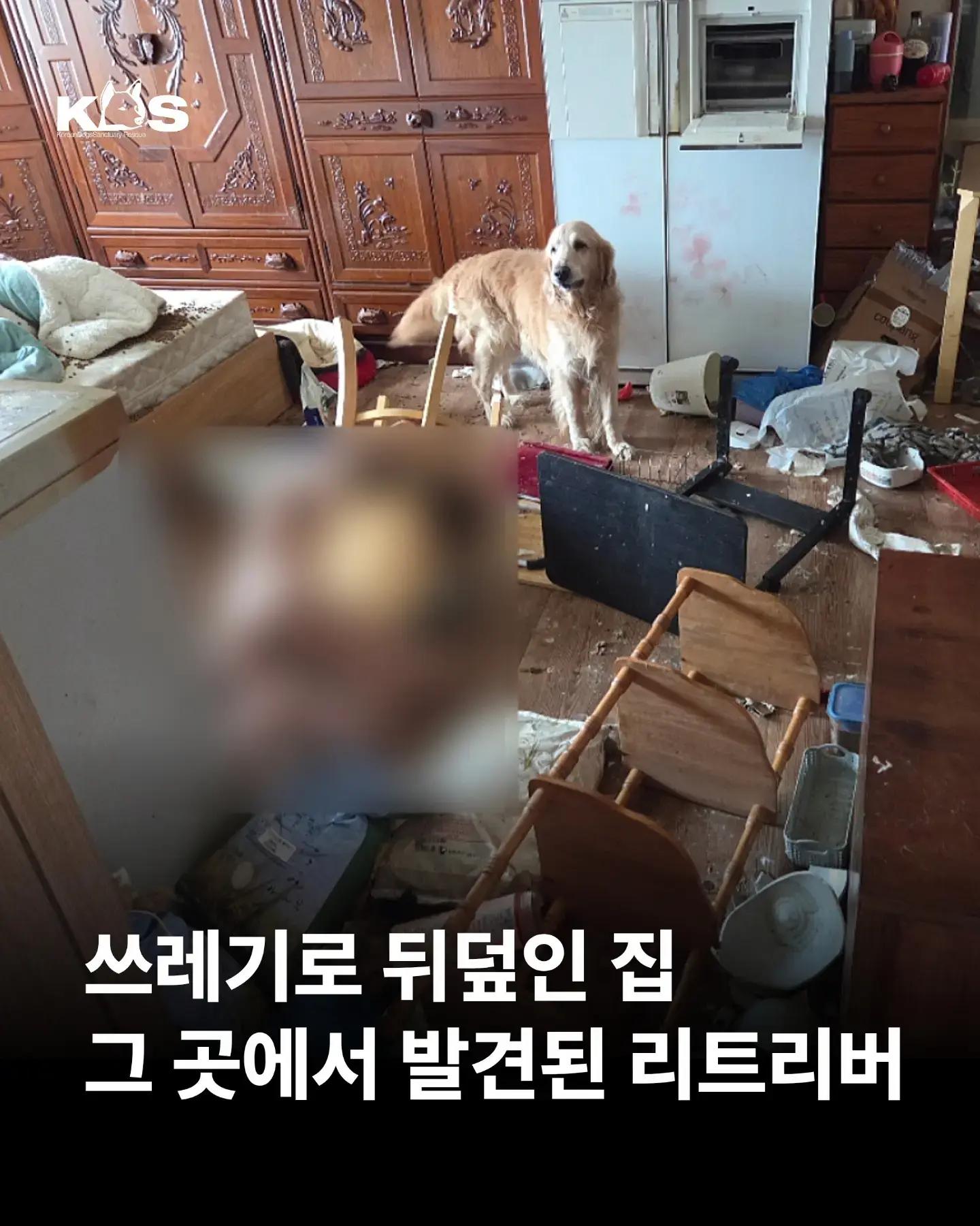 @🐶🐶엄지맘🐕&zwj;🦺🦮🐩