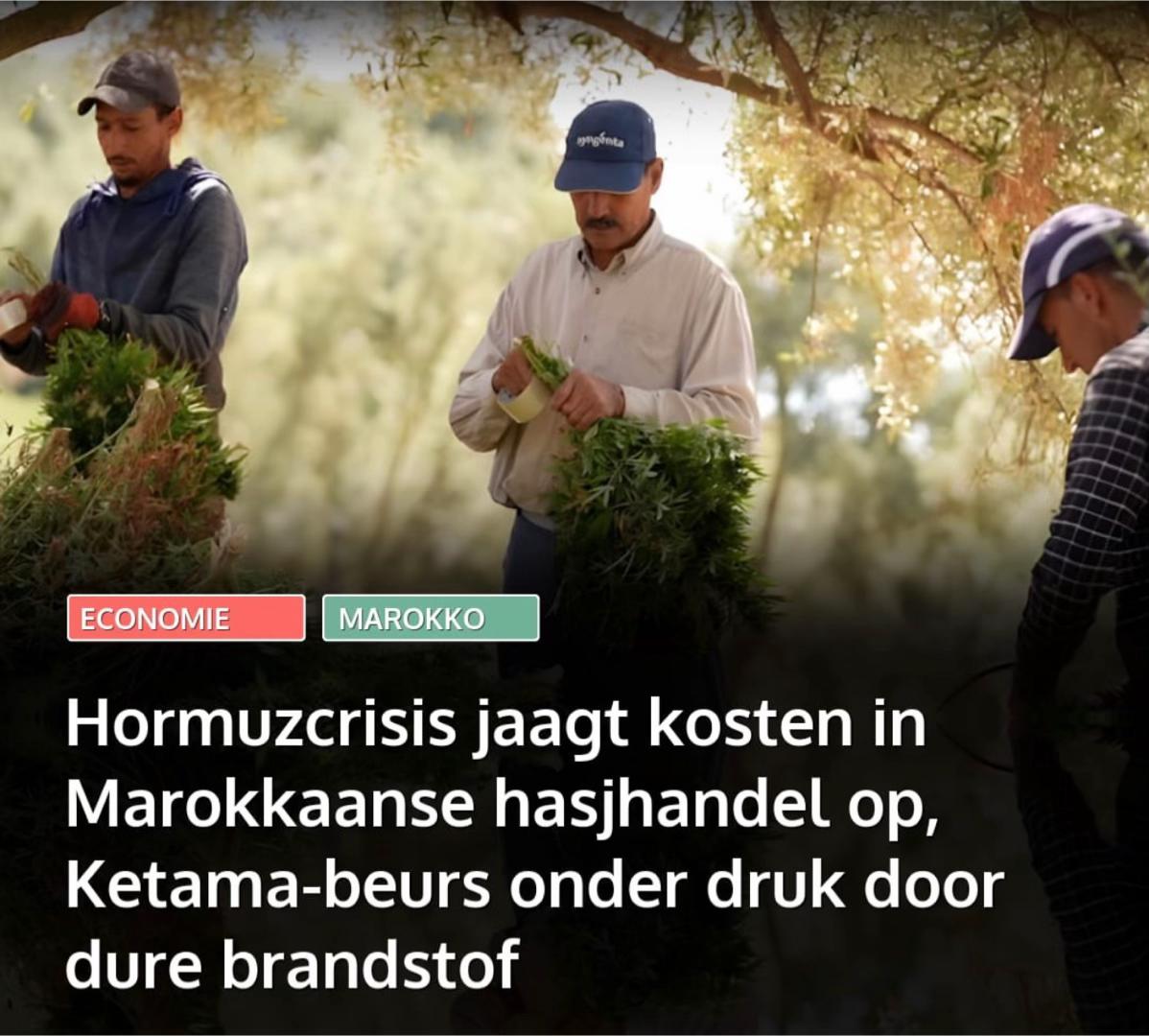 @Marokko.nl