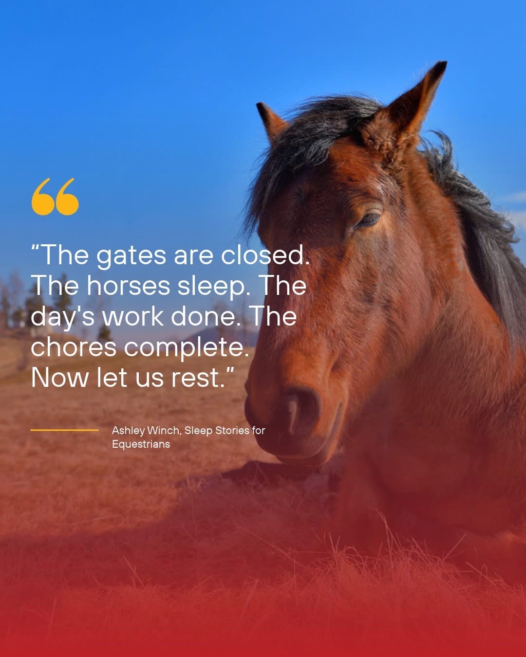 @Horselife