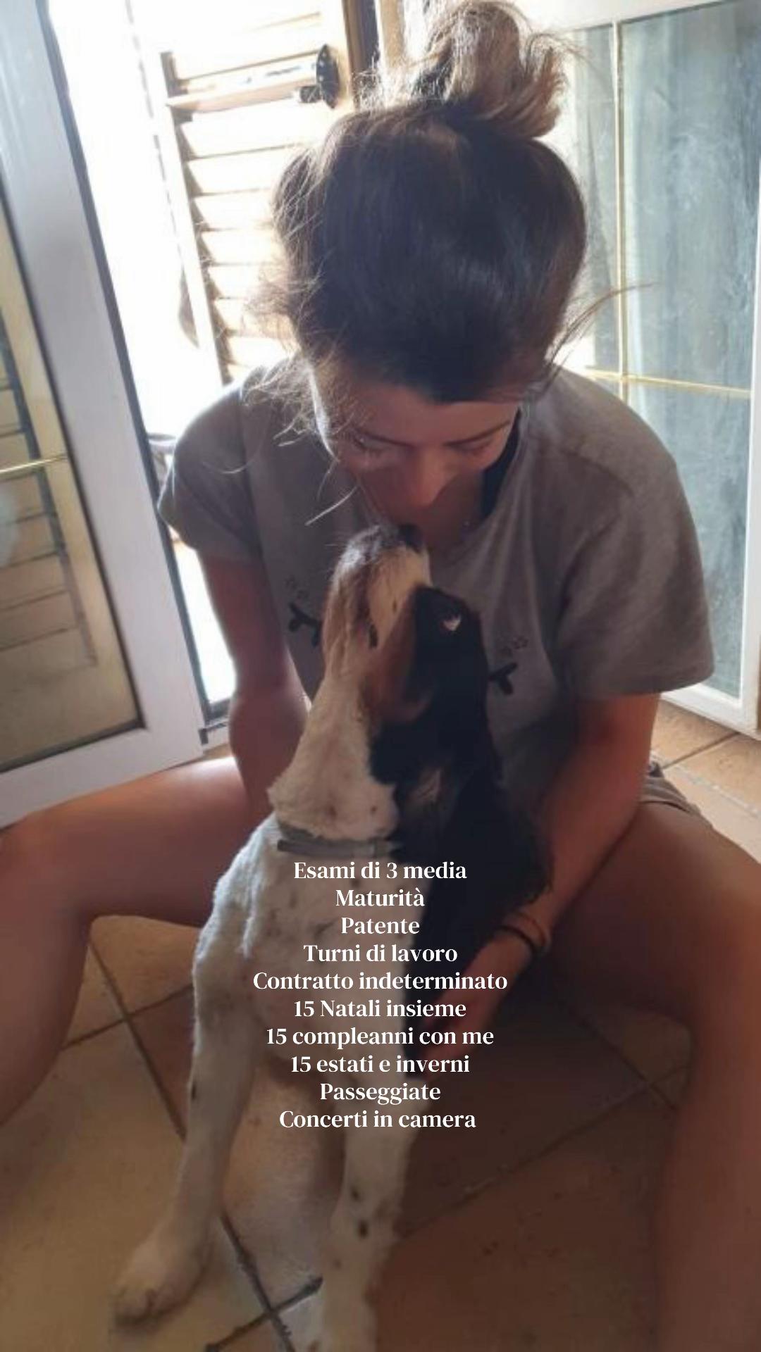 @Valebagnato🦁