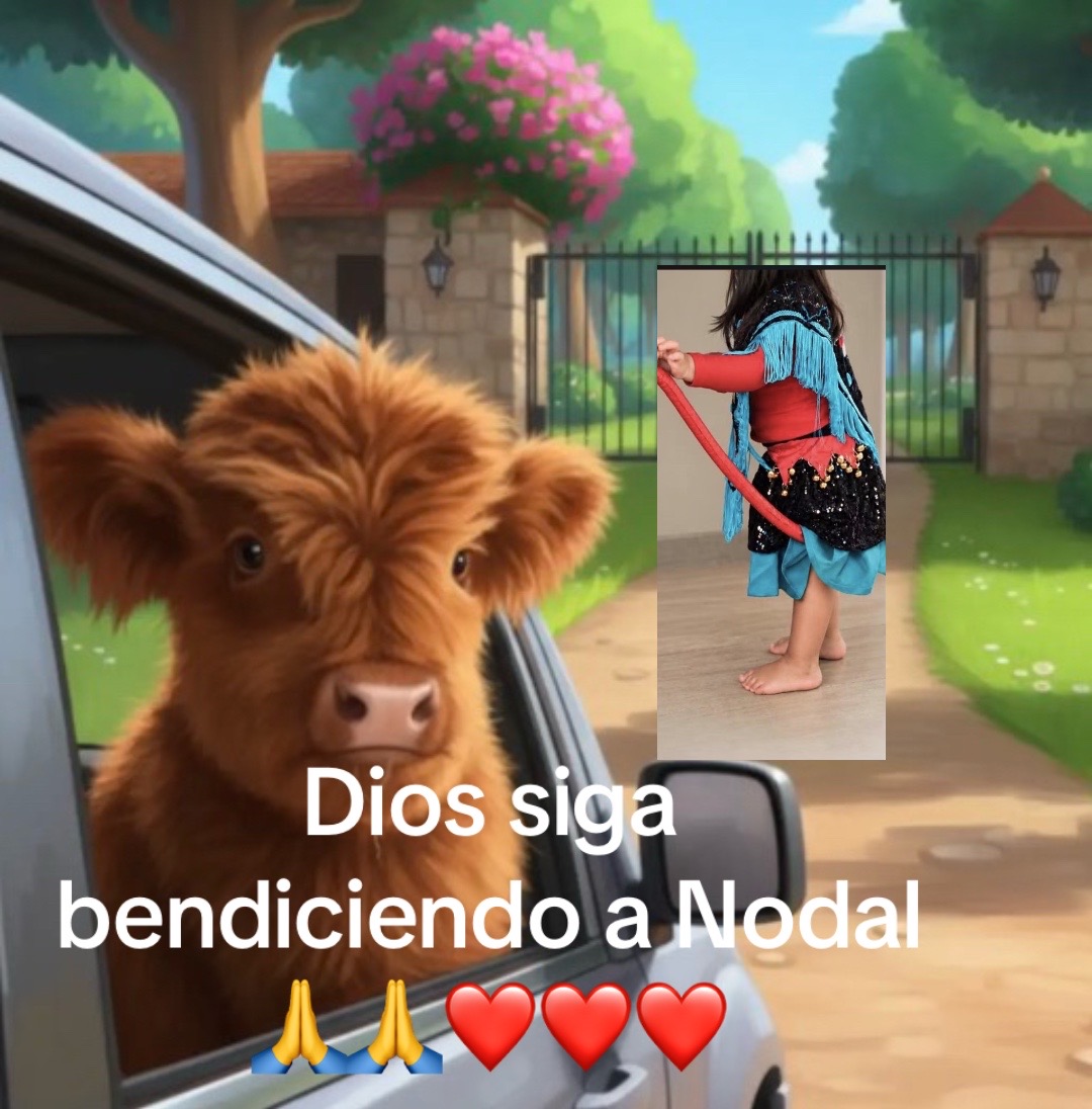 @luzmedina
