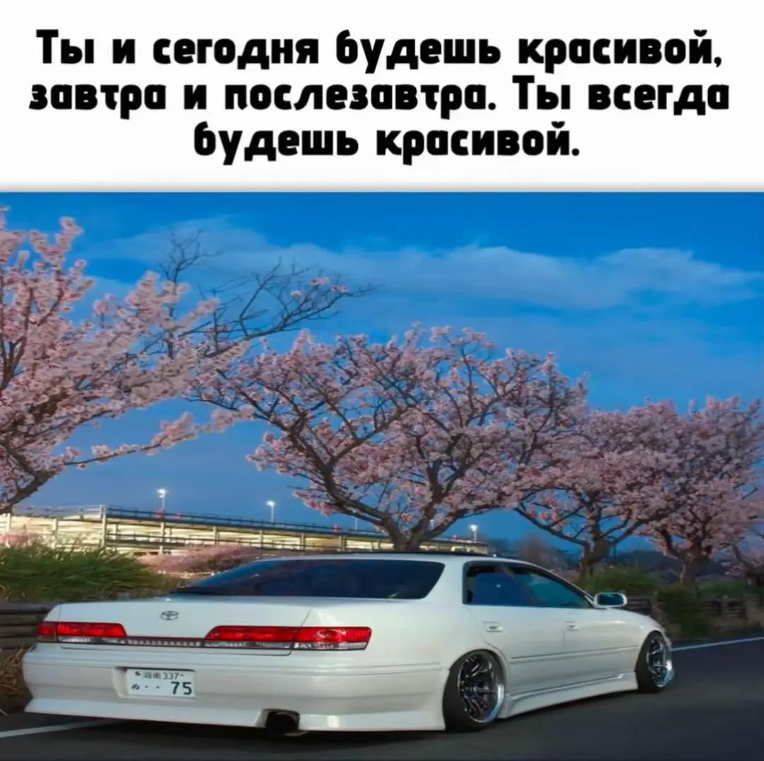 @xomessp