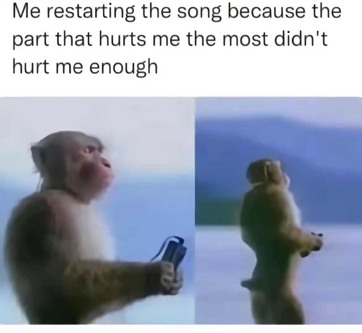 @The Cysquatch