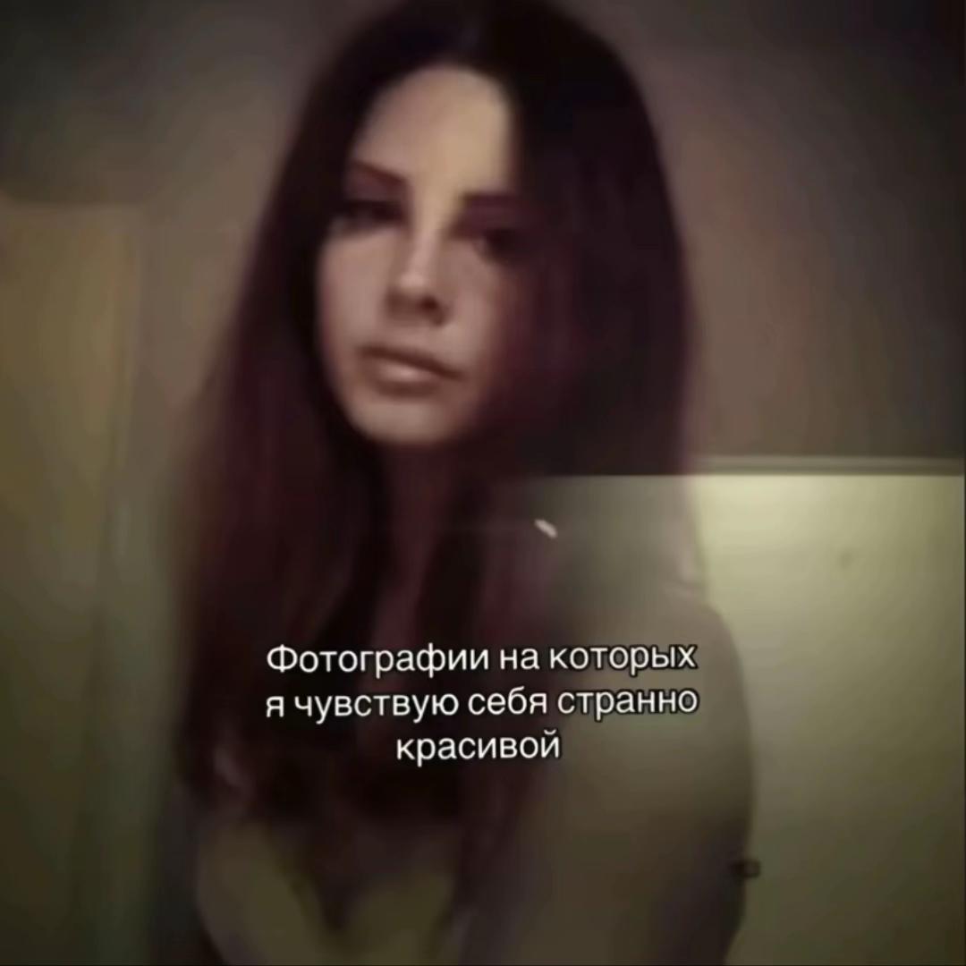 @белка бро