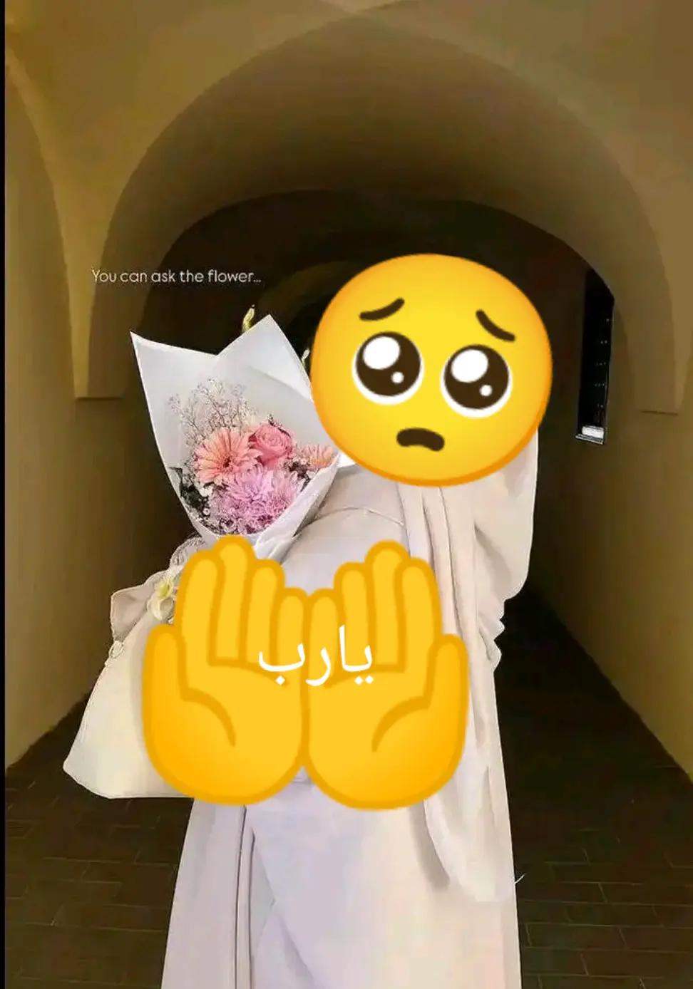 @user99215537532