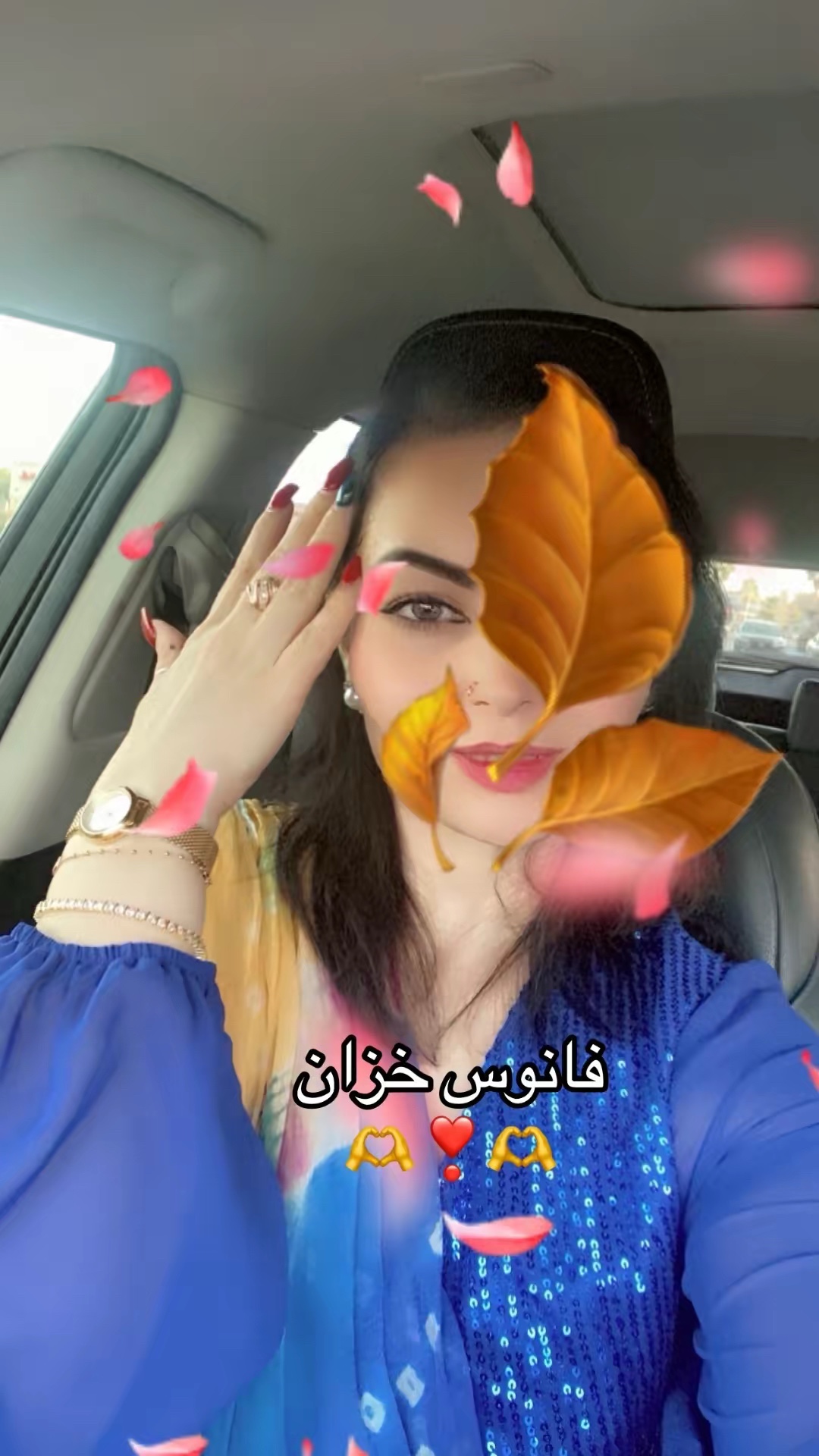 @❣️فانوس🍁خزان❣️