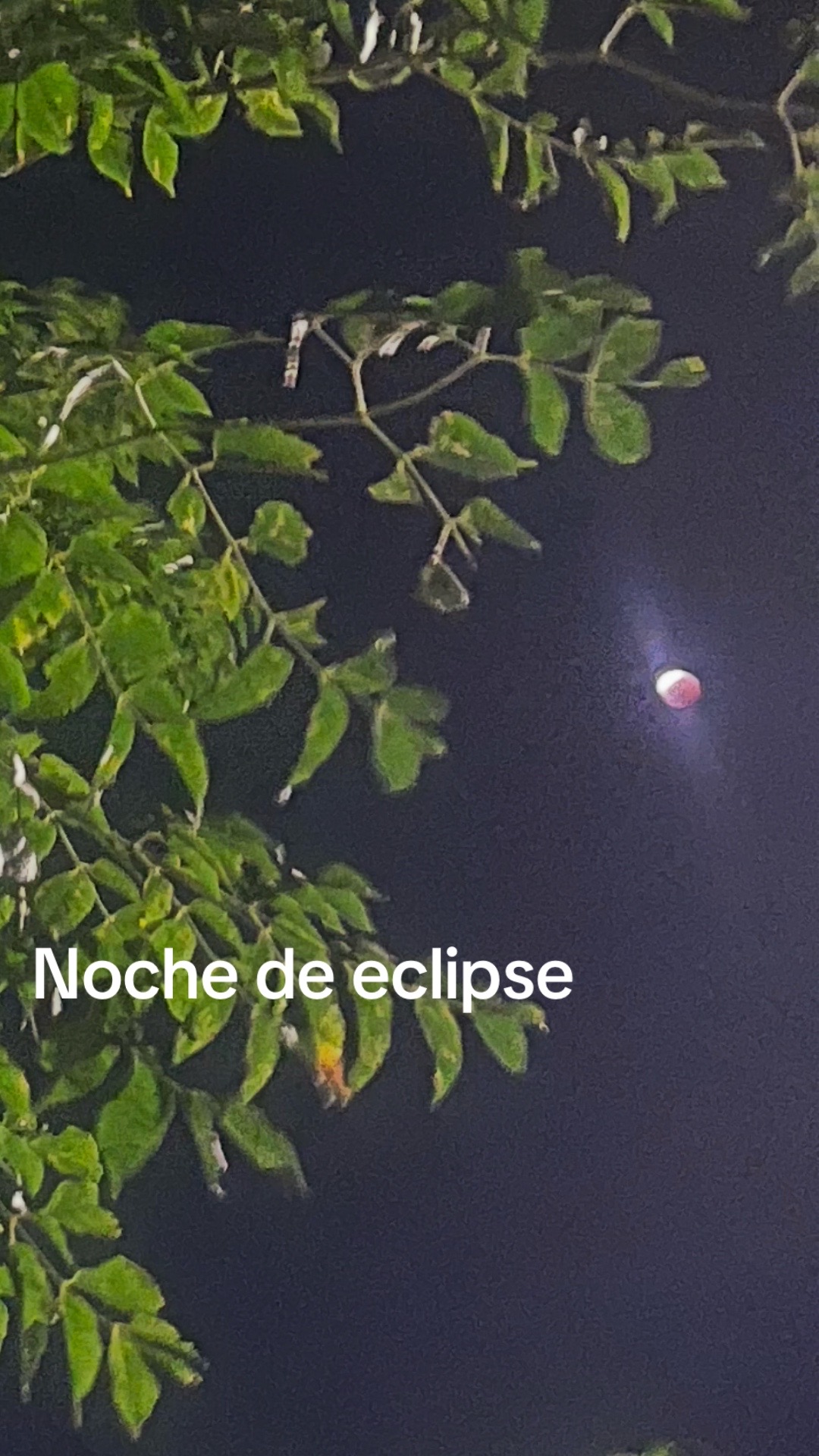 @elvia karime