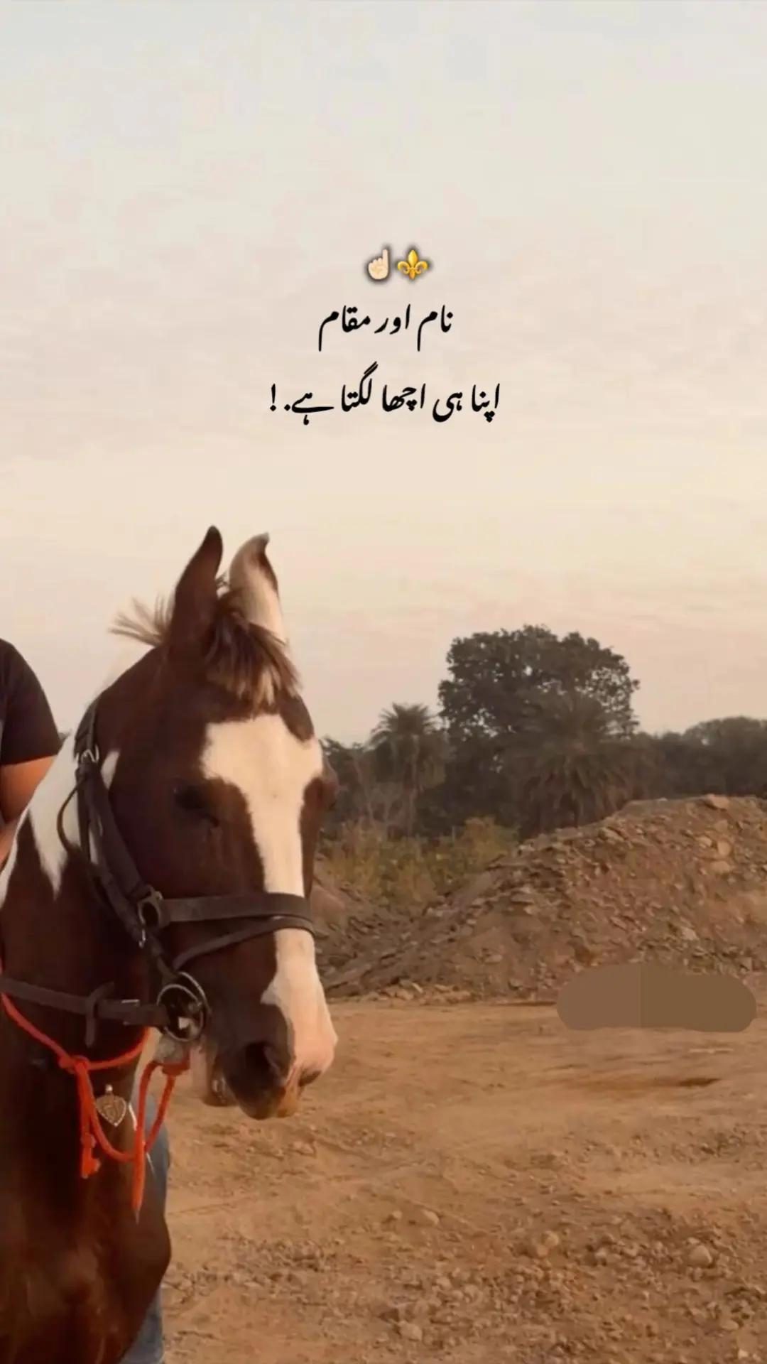 @⚜️ Rehman Arshad 👑