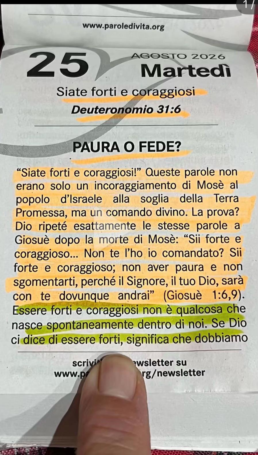 @Patriziagallotta