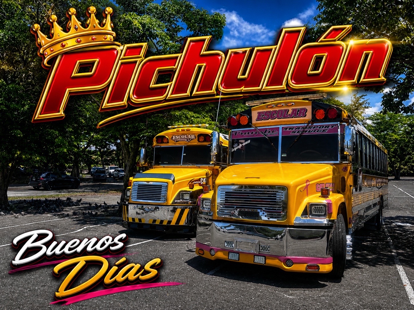 @Pichul&oacute;n Transport service