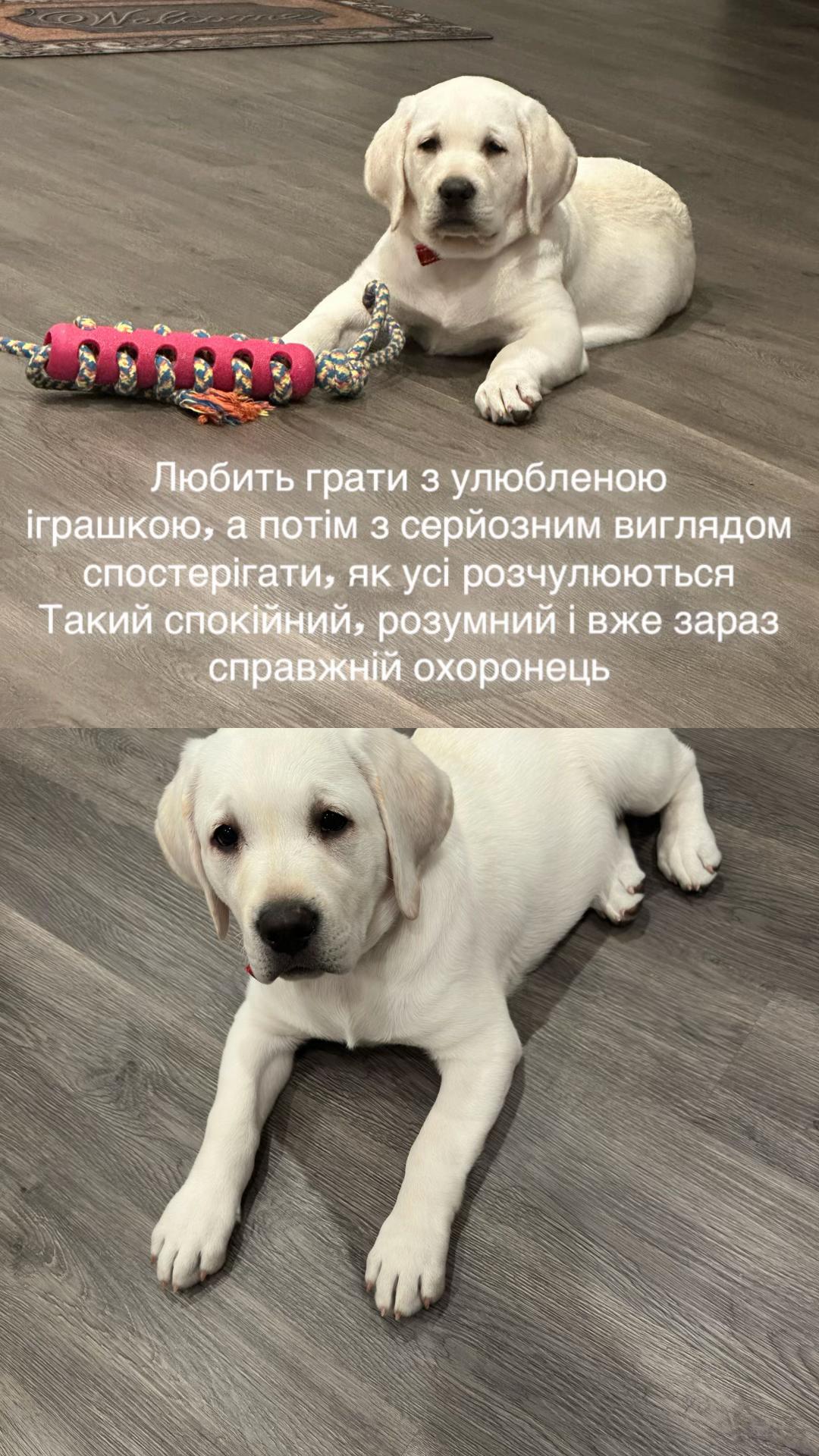 @BUS_KAP