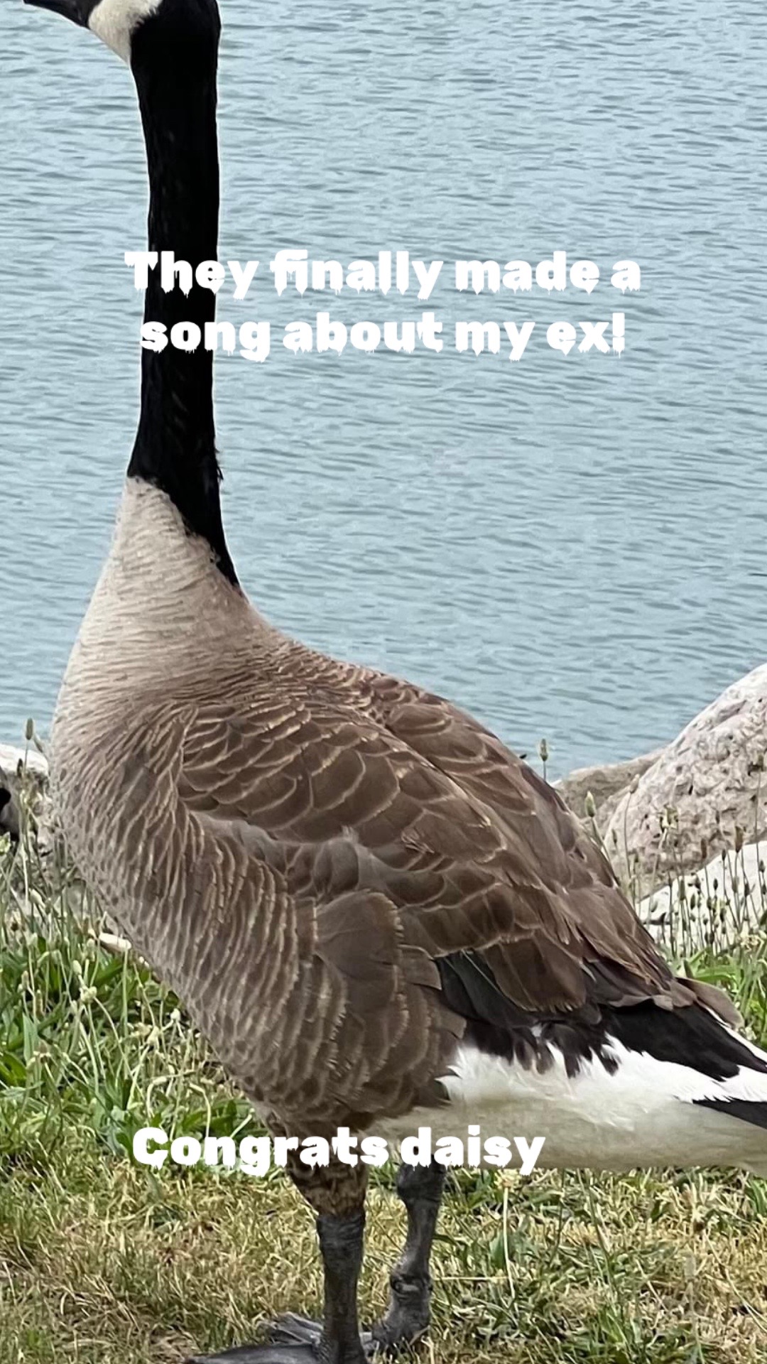 @bigduckhunter2