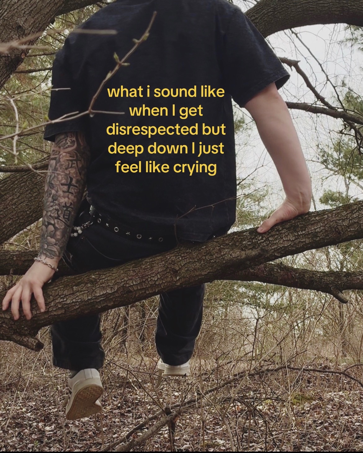 @Ӿ&Oslash;₣
