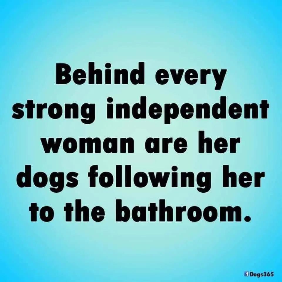 @Author L Meredith McMullan 📚