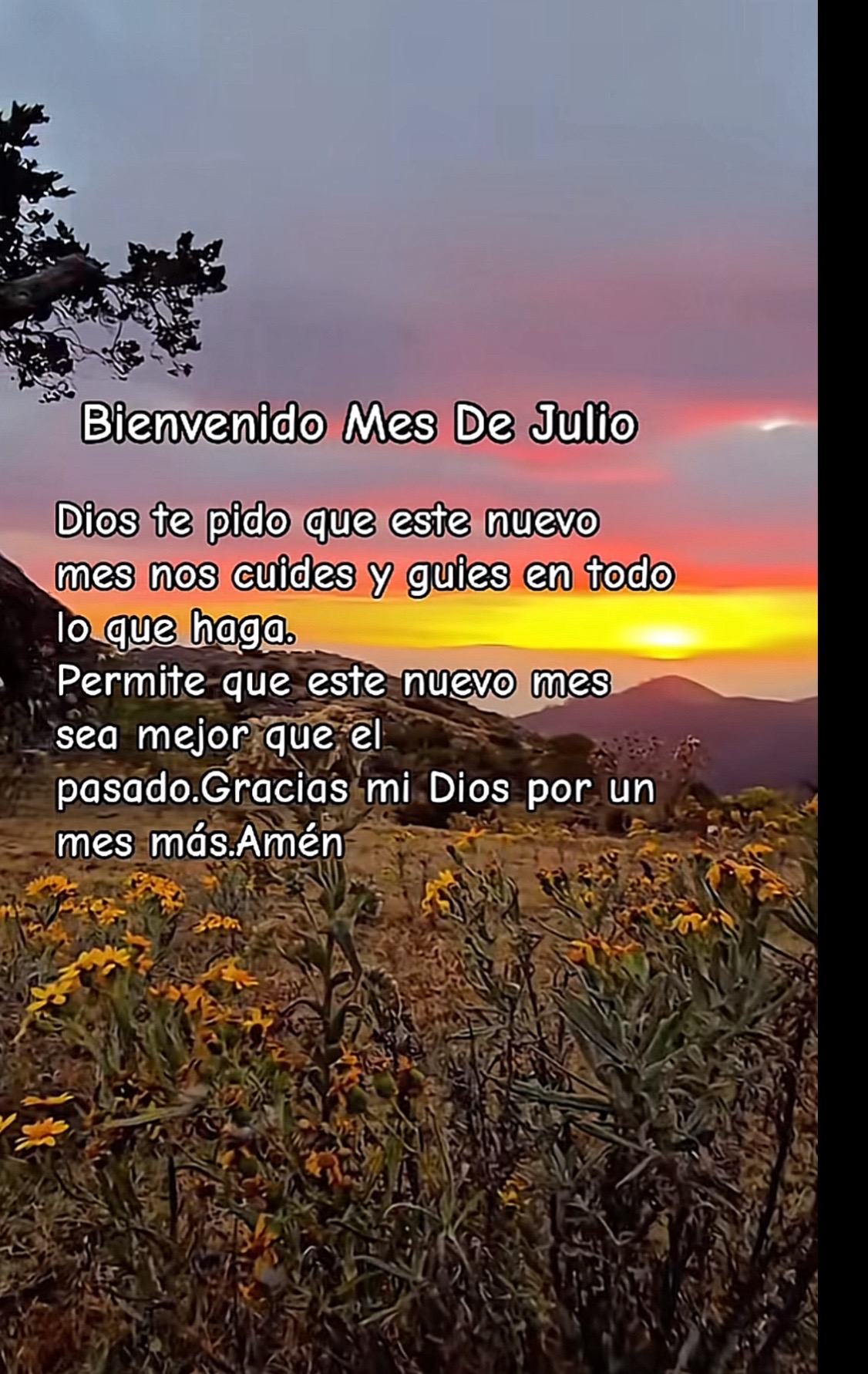 @Carmen Diaz