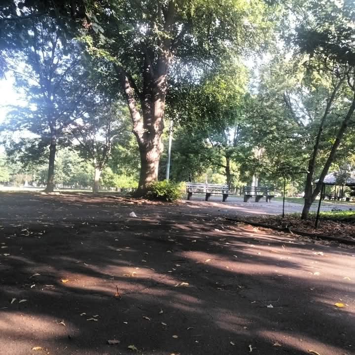 @yasharizme45