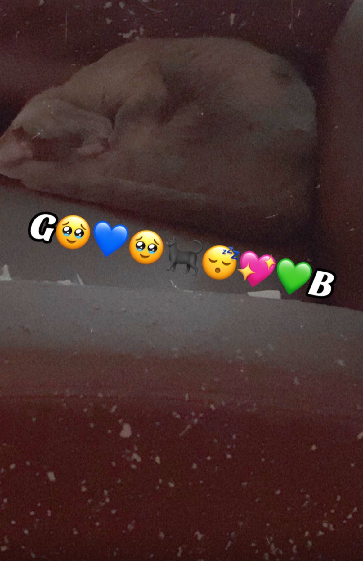 @ð©µGael21ðð«ðððð°ðBrenda21