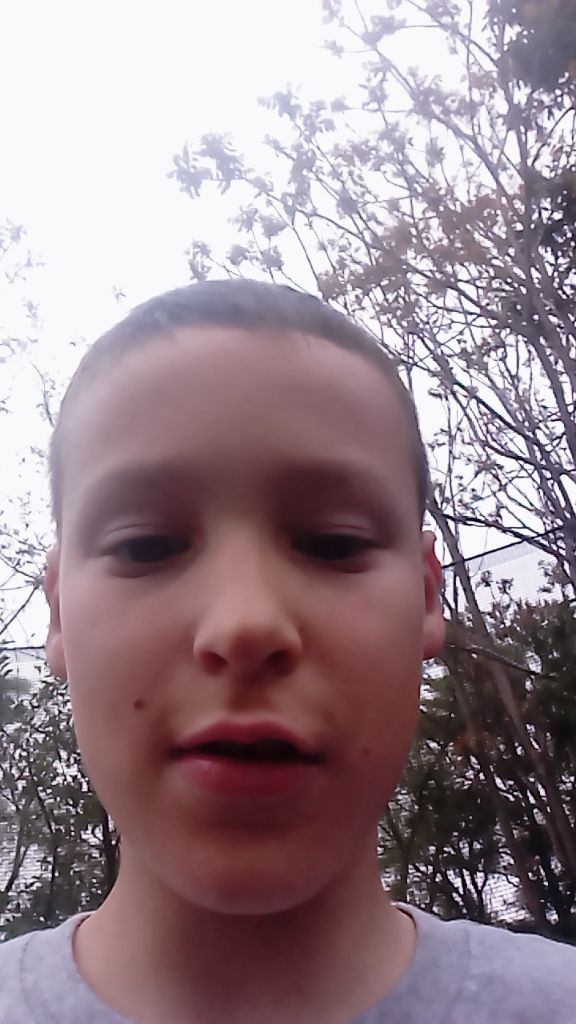 @A&agrave;ron Lutz