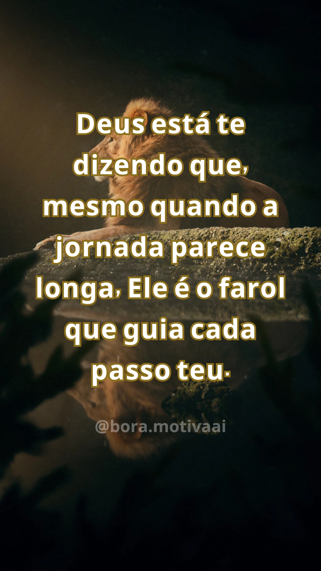 @Bora Rezar