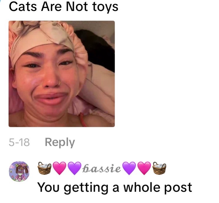 @🧺🩷💜𝓫𝓪𝓼𝓼𝓲𝓮💜🩷🧺